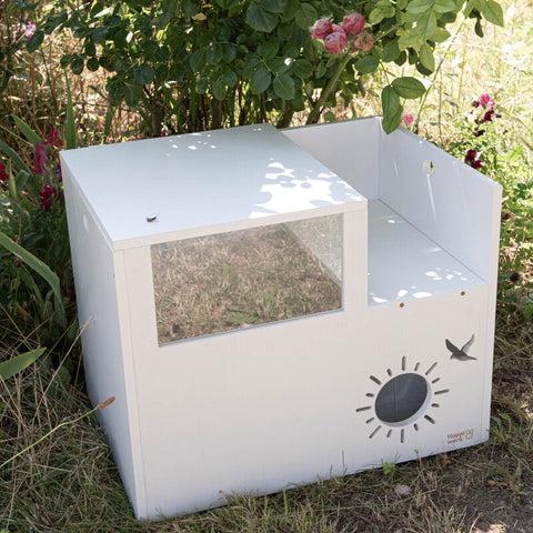Buddelboxen
