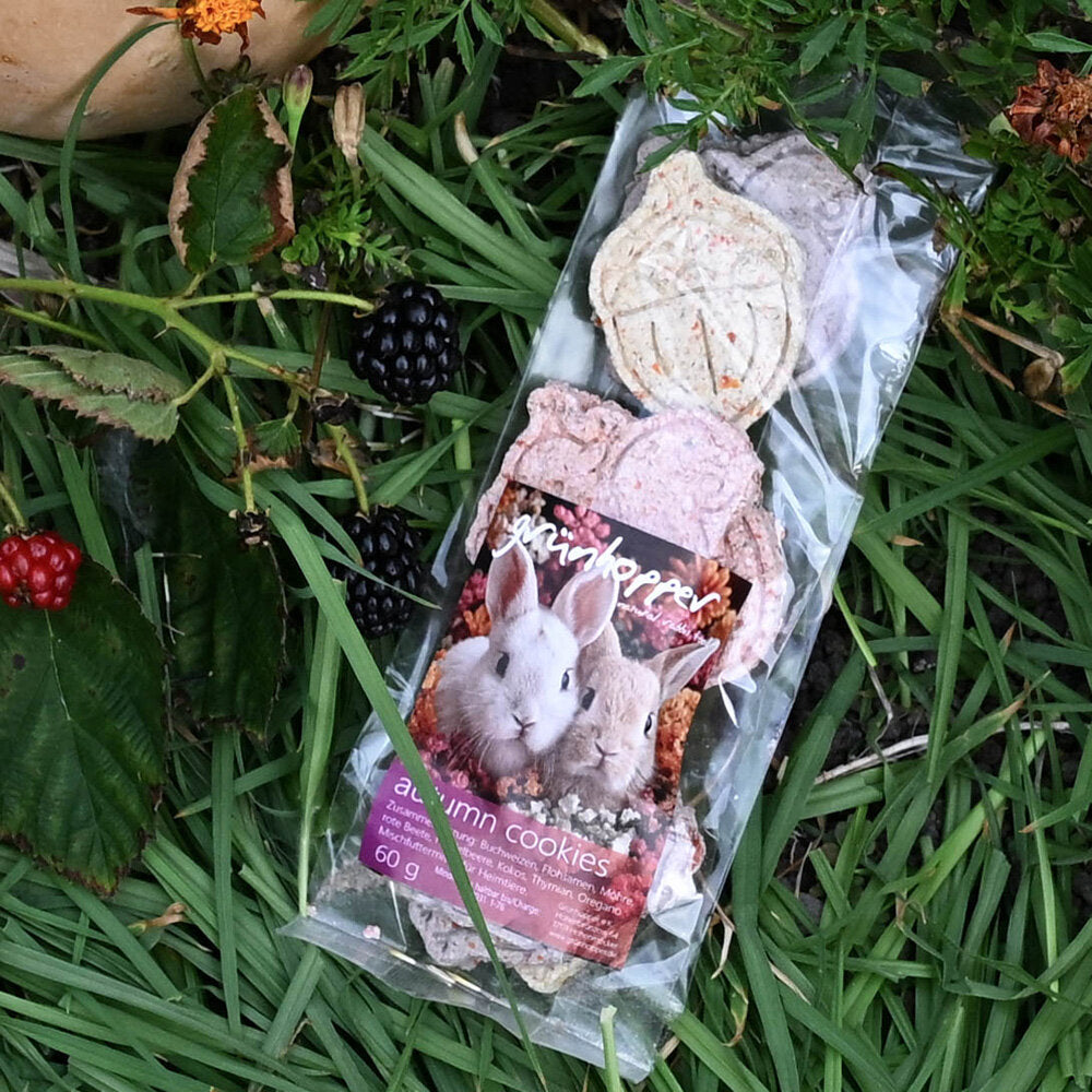 autumn cookies