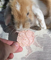 autumn cookies