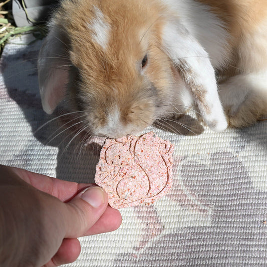 autumn cookies