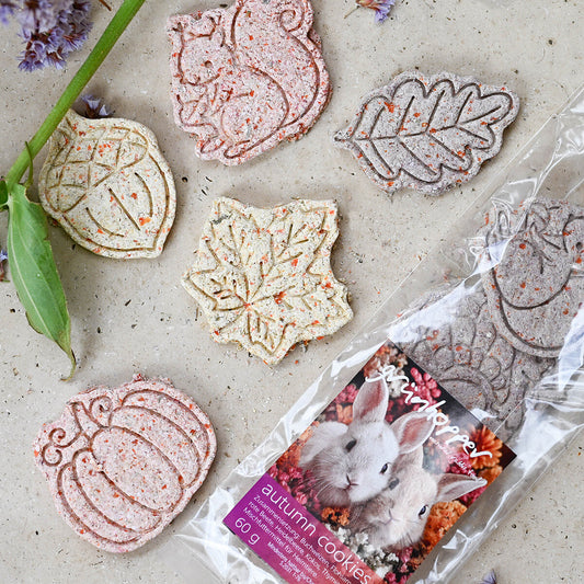 autumn cookies