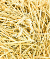 grünhopper Haferstroh 1kg