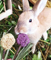 Blooming lollipops