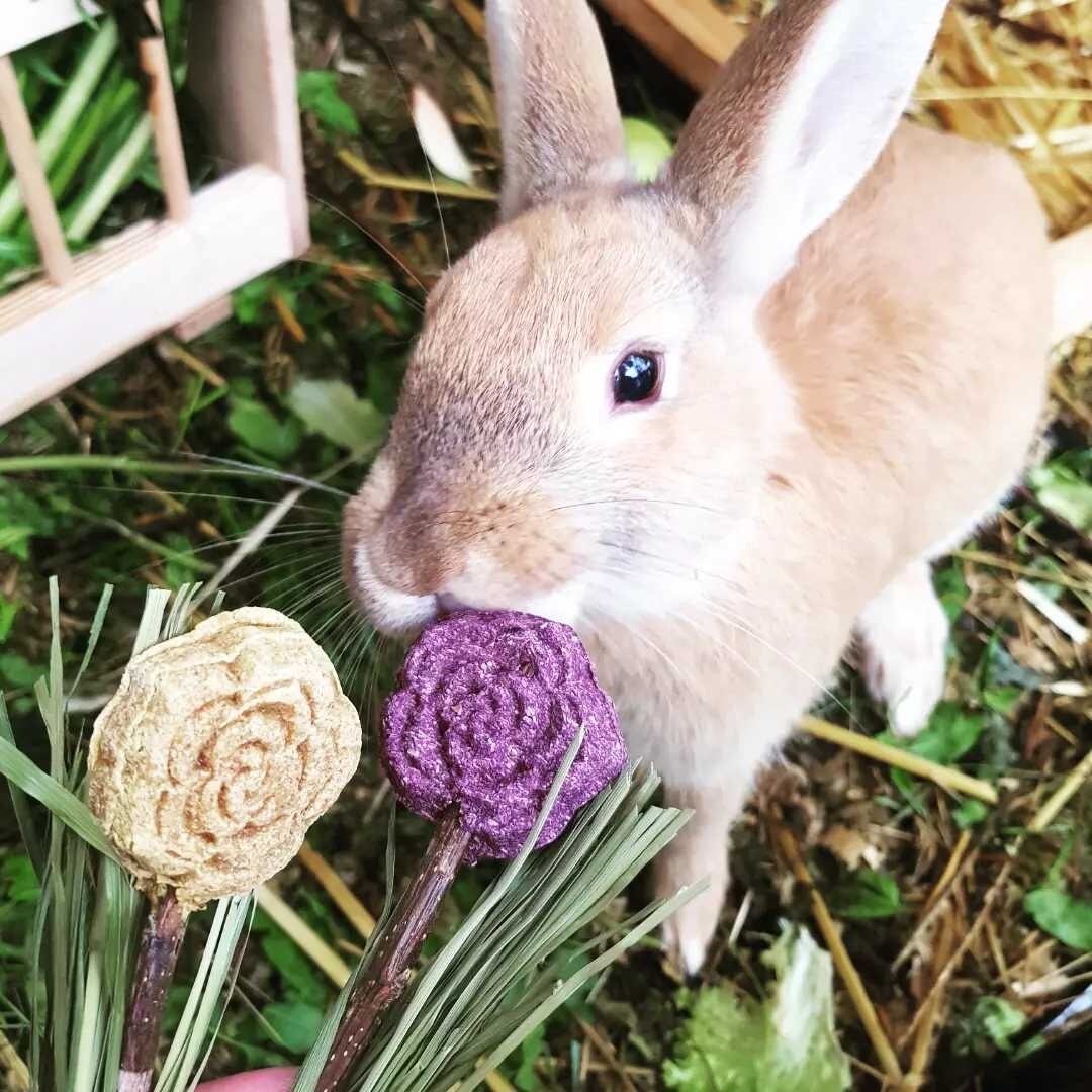 Blooming lollipops