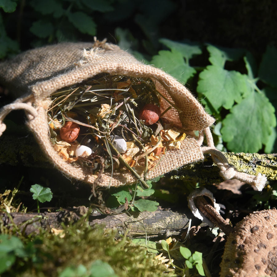 grünhopper bunfun