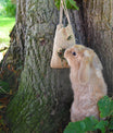 grünhopper bunfun