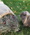 grünhopper bunfun