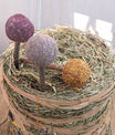 Cake pops