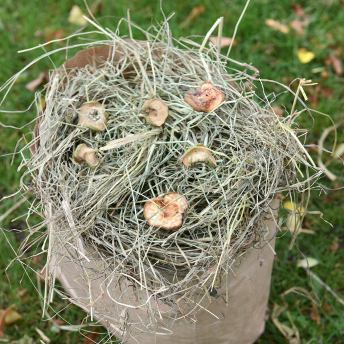 grünhopper Birnenapfelheu 500 g