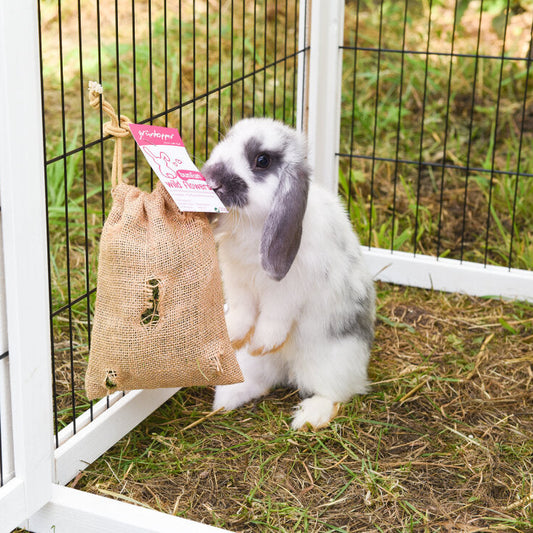 grünhopper bunfun