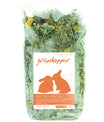 grünhopper dental&allergy