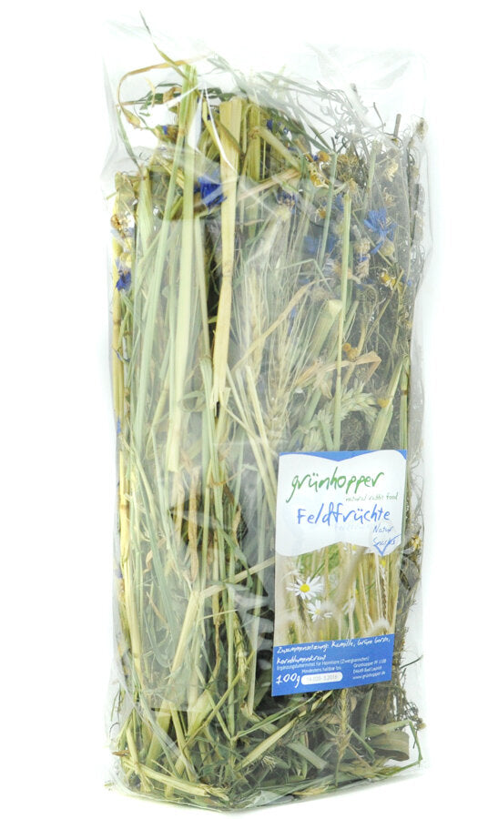 grünhopper Feldfrüchte