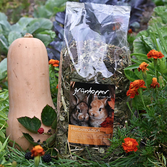 grünhopper Herbstedition