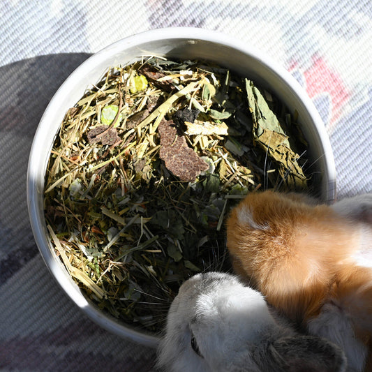grünhopper Herbstedition