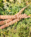 grünhopper Hirseähren 3 Stück