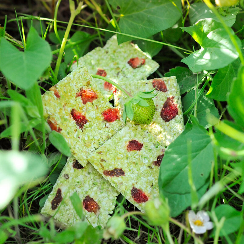 grünhopper Hopps grüne Erdbeere