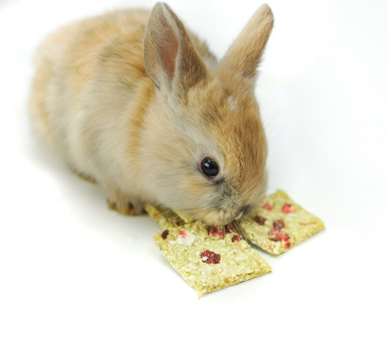 grünhopper Hopps grüne Erdbeere