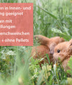 grünhopper Junior