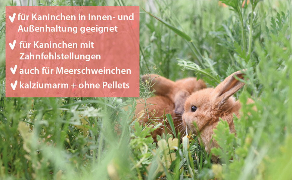 grünhopper Junior