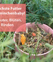 grünhopper Junior