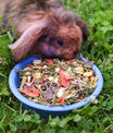 grünhopper Kraut & Rüben