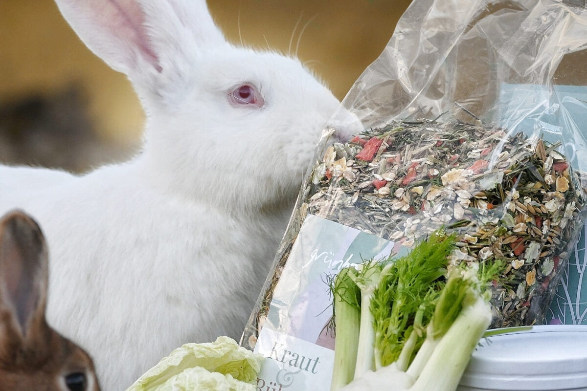 grünhopper Kraut & Rüben