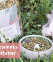 grünhopper Kraut & Rüben
