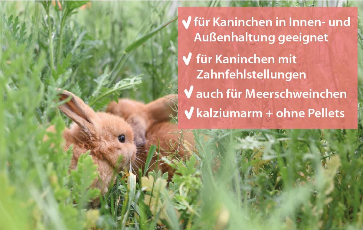 grünhopper Kraut & Rüben