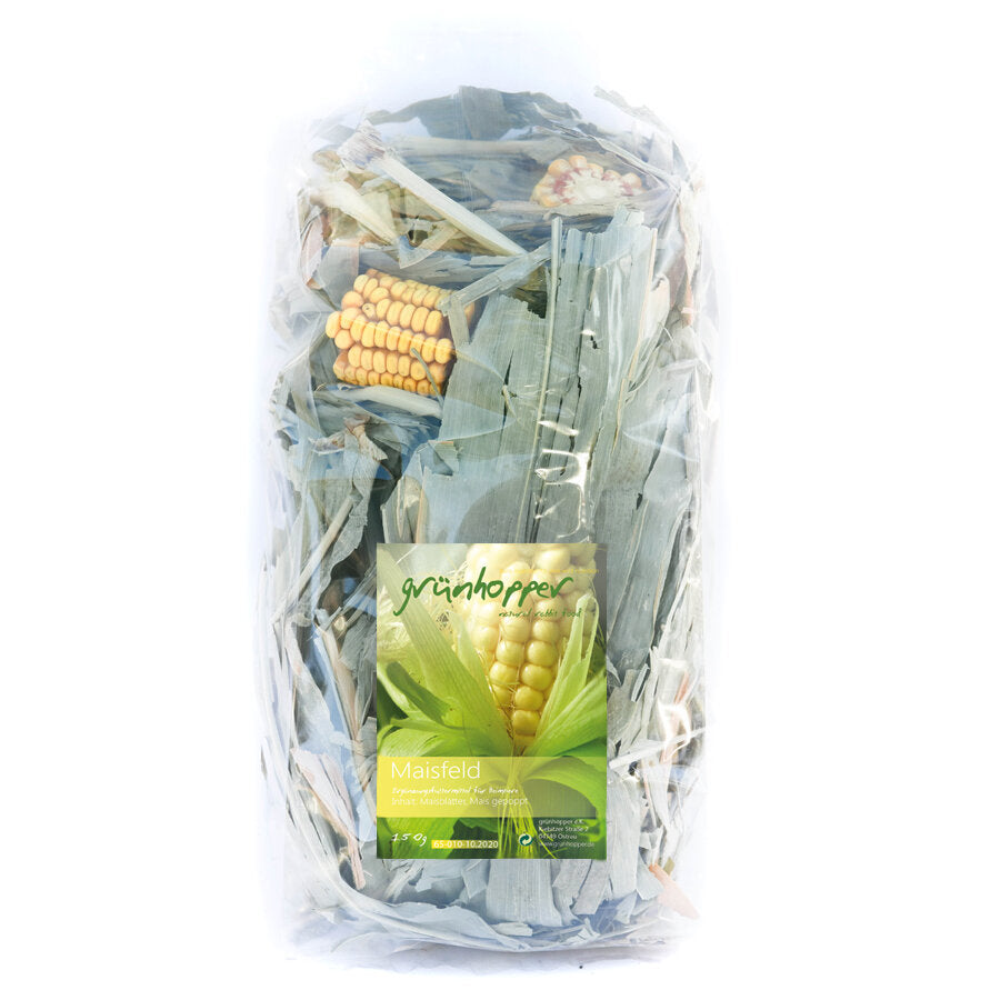 grünhopper Maisfeld