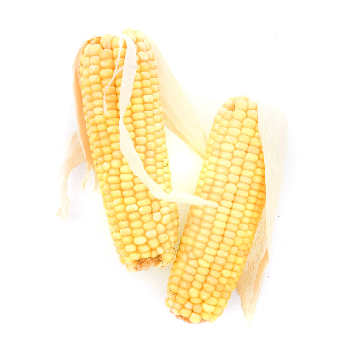 grünhopper Maiskolben