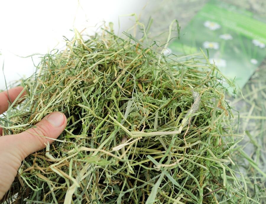 grünhopper Naturwiesenheu