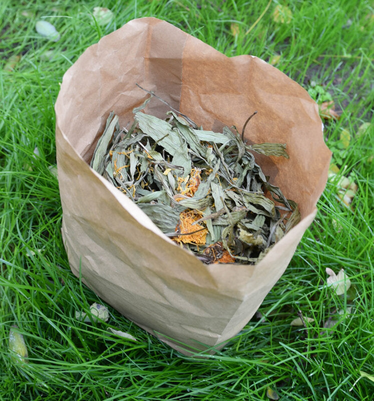 grünhopper Schnupfenkräuter