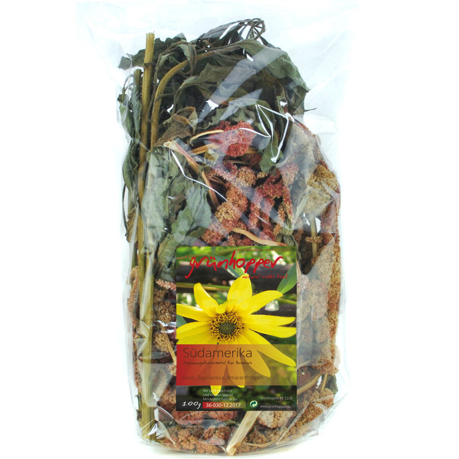 grünhopper Südamerika