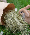 grünhopper Täschel Liebe