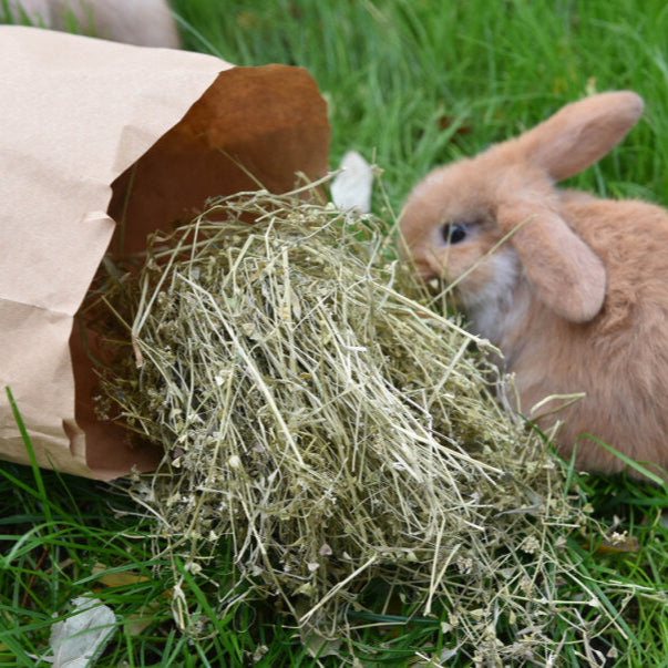 grünhopper Täschel Liebe