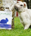 grünhopper Urinary