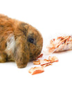 grünhopper Weihnachtsapfel