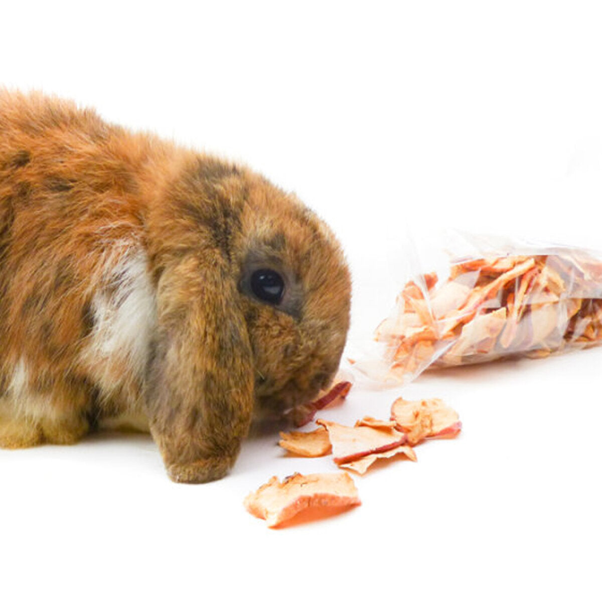 grünhopper Weihnachtsapfel