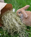 grünhopper Wildkräutersparpaket