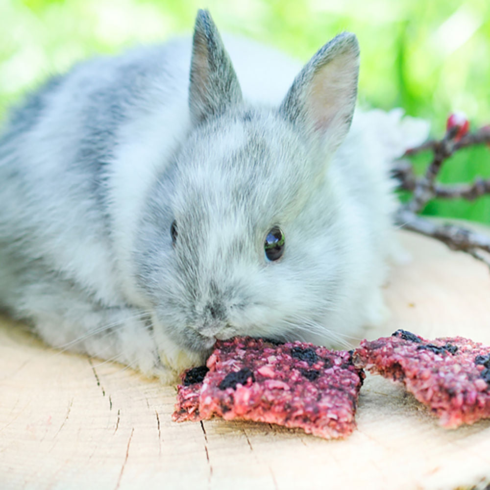 Hopps rote Johannisbeere