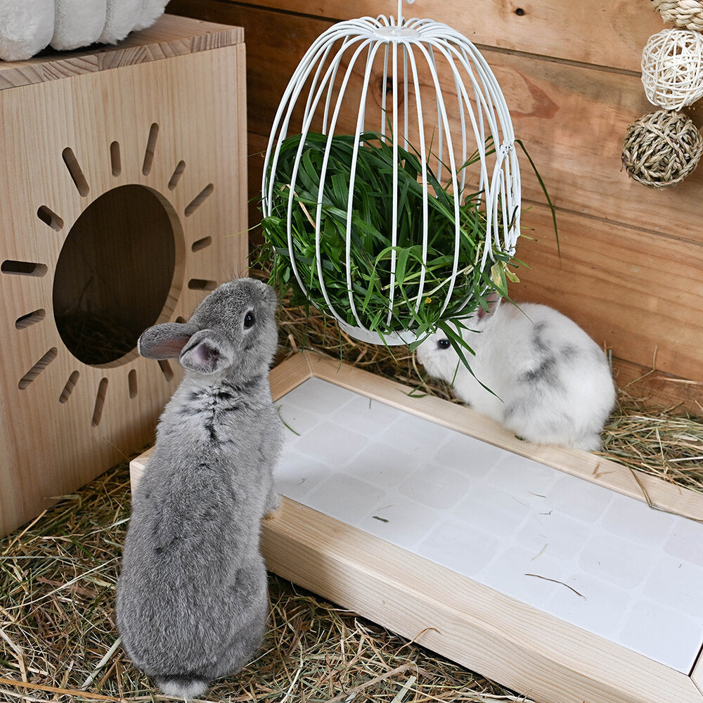 Hängefutterkorb