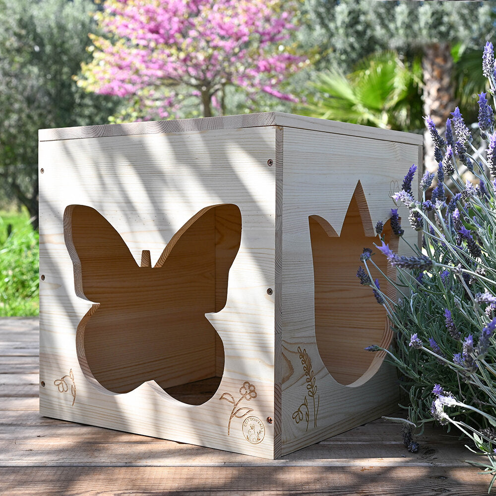 Haus butterfly