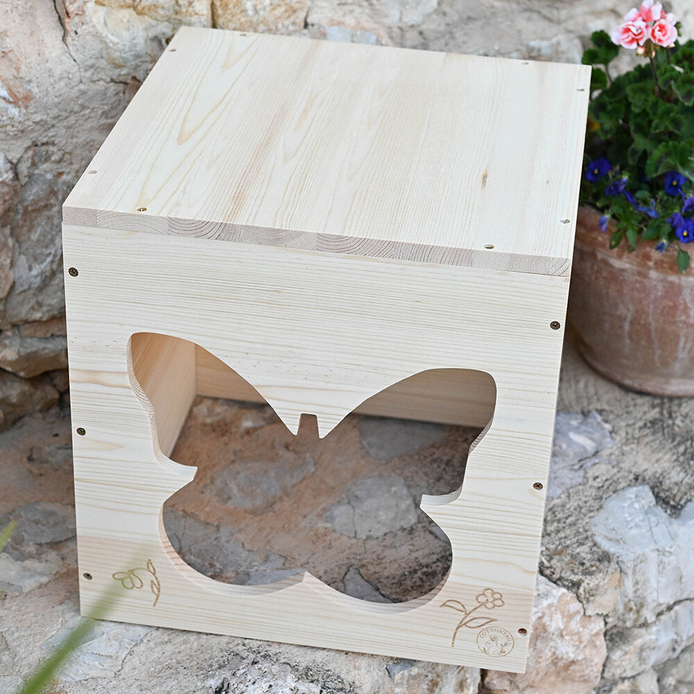 Haus butterfly