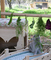 Haus butterfly