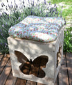 Haus butterfly