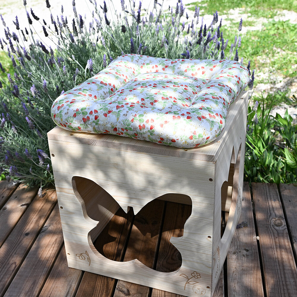 Haus butterfly