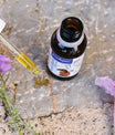 herb digest