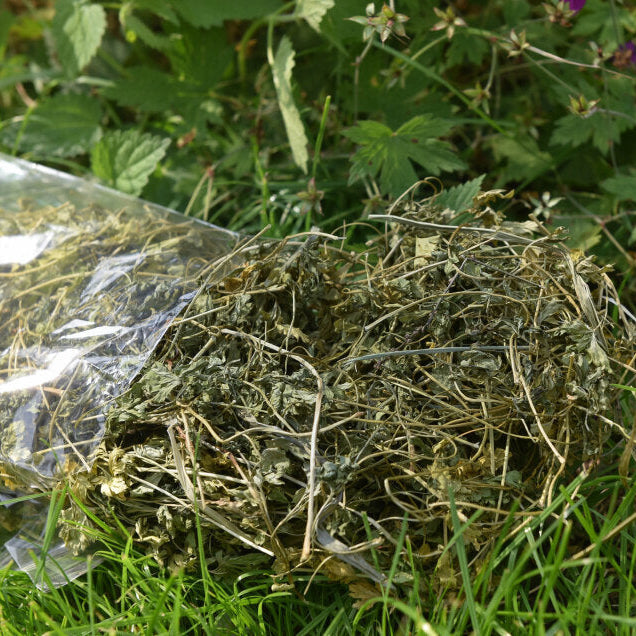 Herbstblätter Snacks