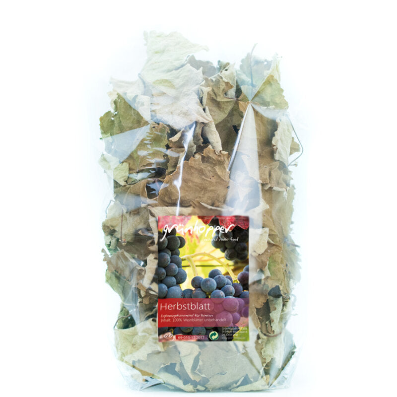 Herbstblatt