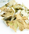Herbstblatt